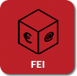 fei logo